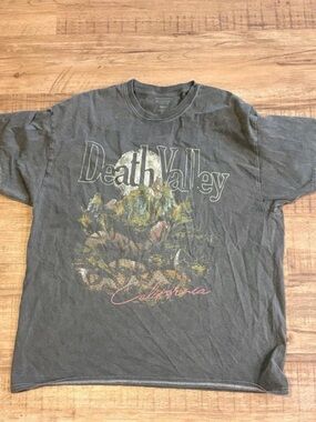 Urban Outfitters Death Valley Graphic Tee - Gray